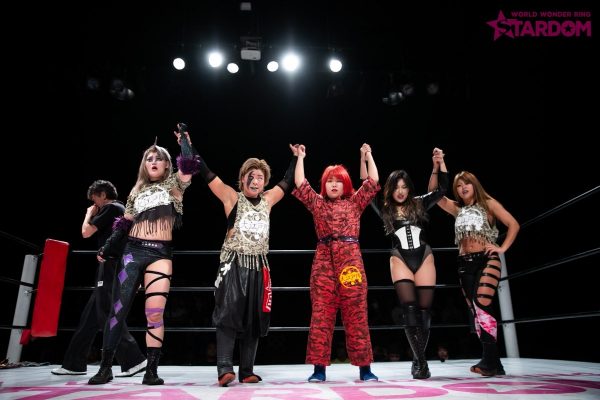 スターダム 2019年6月 興行ポスター 映画チラシサイト：スター・ウォーズ 最後のジェダイ