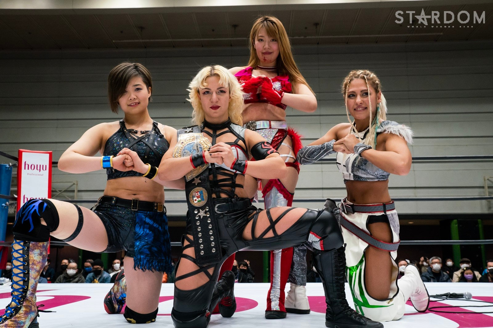 新品同様 スターダム DDM ミニタペストリー ひめか 桜井まい ジュリア Amazon.co.jp: 同様 スターダム DDM ミニタペストリー ひめか
