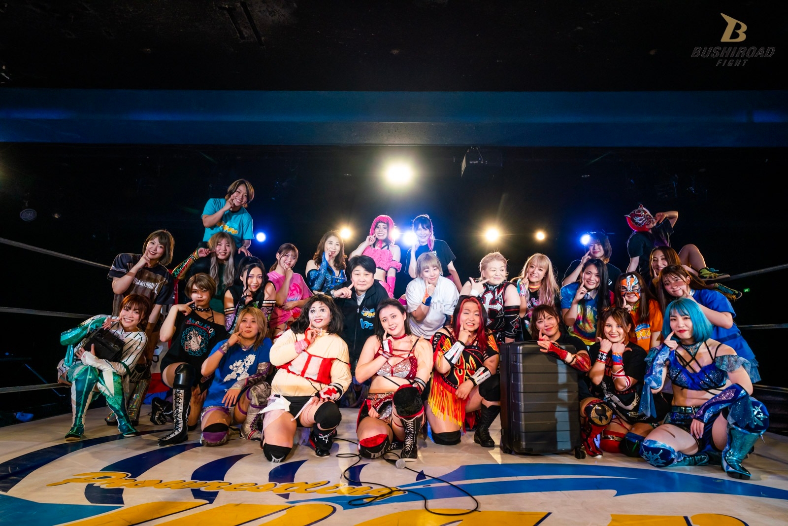 スターダム STARDOM 2023年 ひめか引退興行 VIP特典 限定ポスター Amazon.co.jp: 出品??引退??スターダムひめか引退試合ポスター