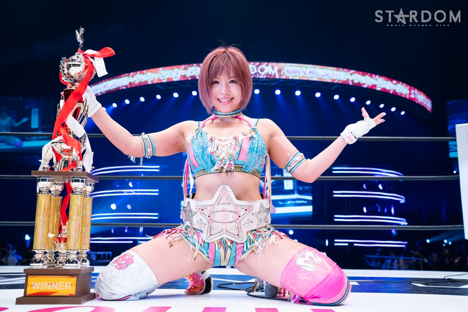 新品同様 スターダム DDM ミニタペストリー ひめか 桜井まい ジュリア スターダム】桜井まいの電撃的なDDM加入後初のジュリアとの対決