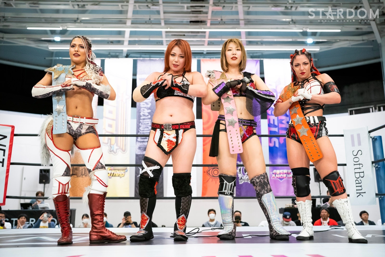 STARDOM Season.6 Grows Up Stars 2012 DVD DVD]⁄STARDOM Season.6 Grows Up Stars 2012⁄格闘技⁄SDV-110 2023年6月