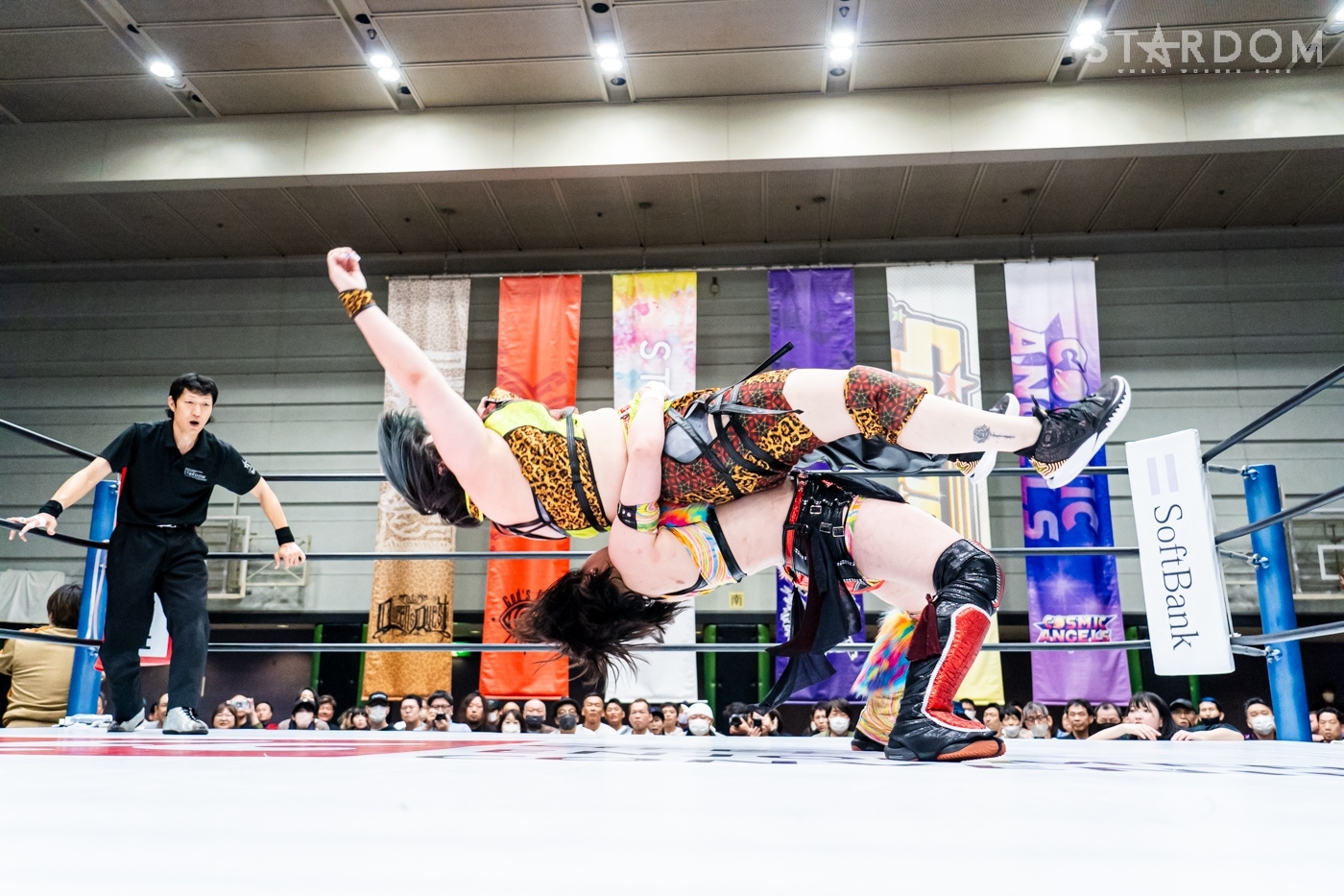 LINE_ALBUM_20240421エディオン第2②_240422_6