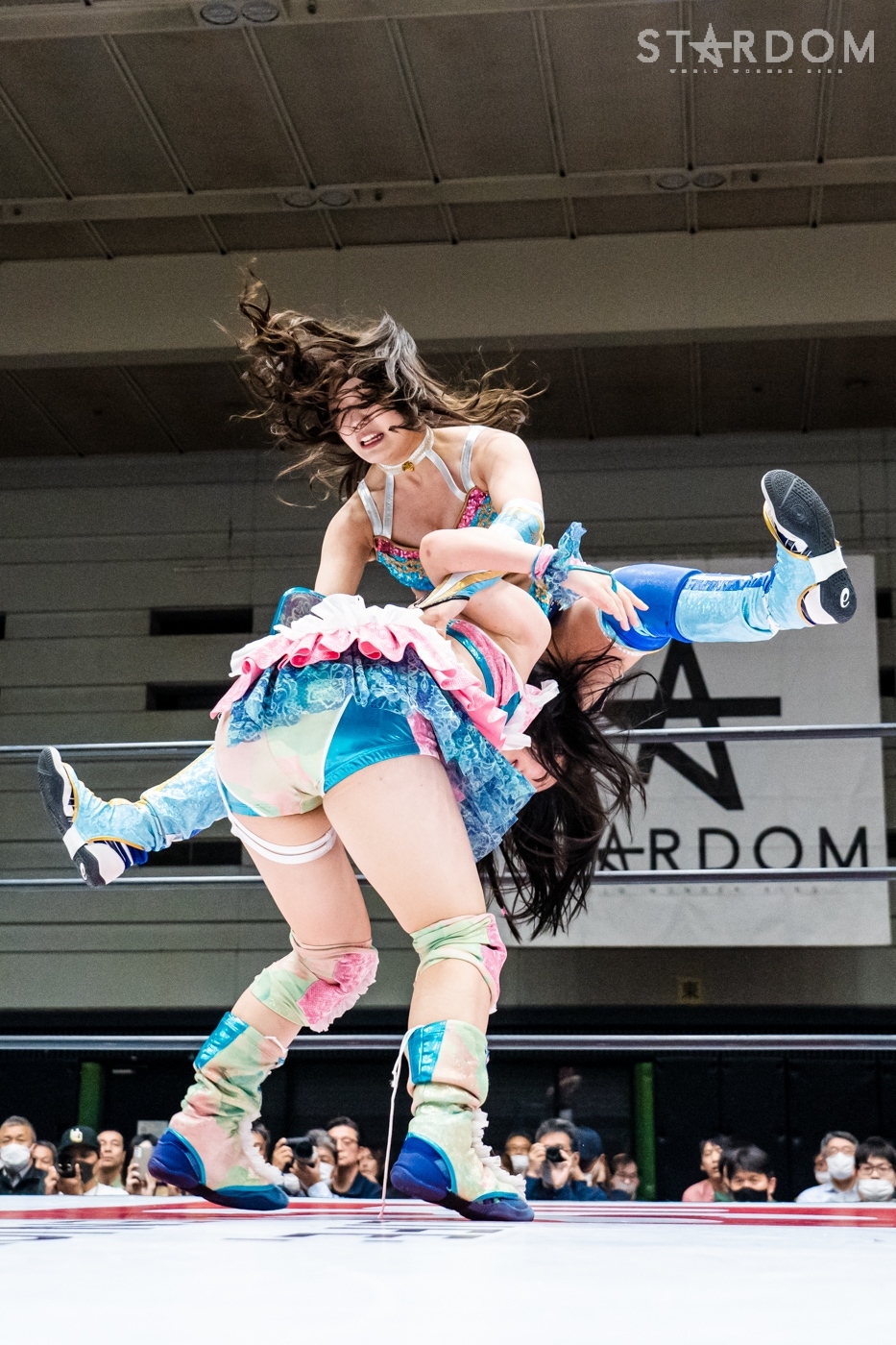 LINE_ALBUM_20240421エディオン第2①_240422_13