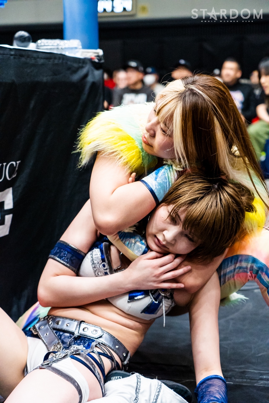 LINE_ALBUM_20240421エディオン第2①_240422_16