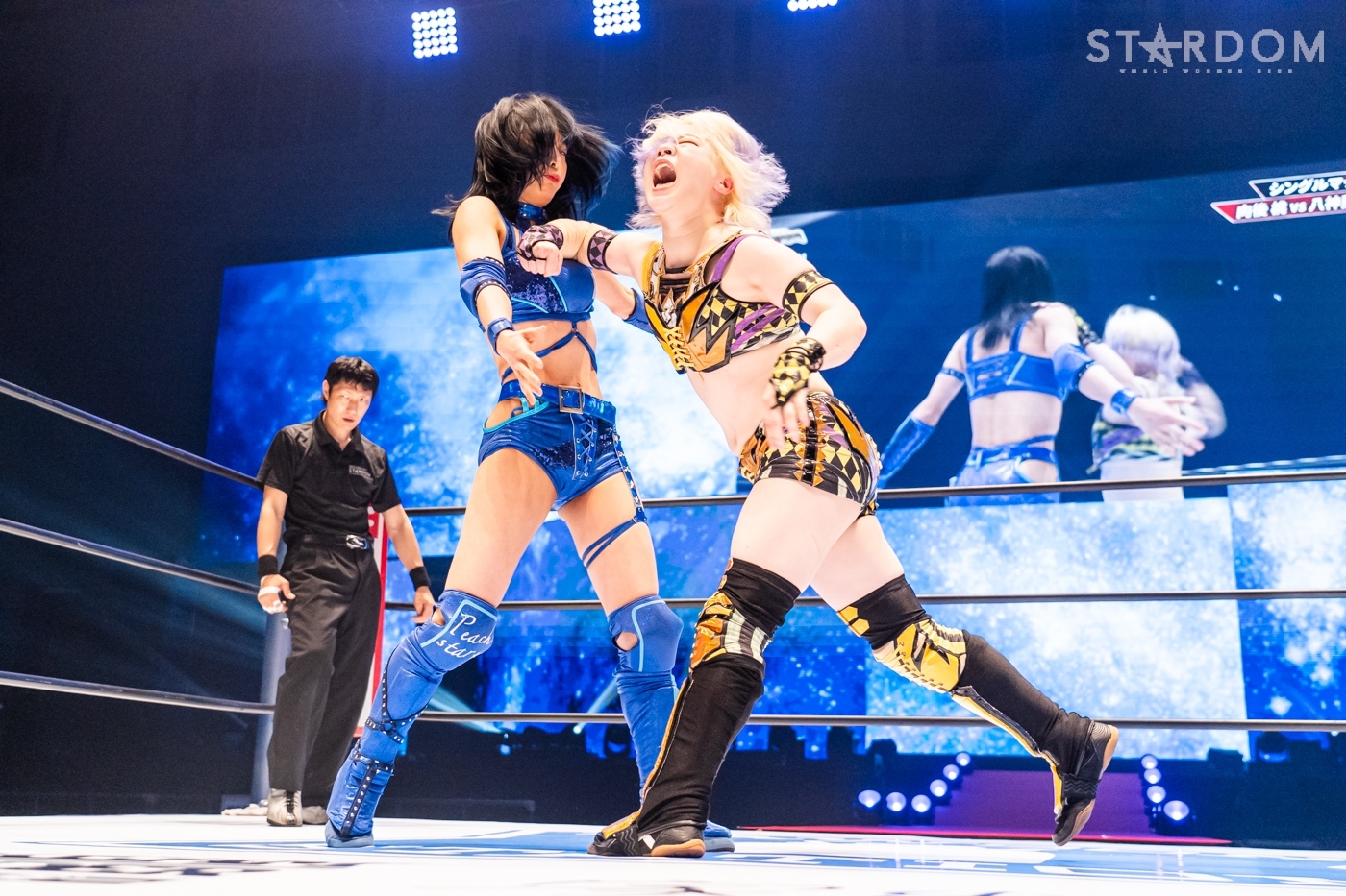 LINE_ALBUM_20240427BUNTAI①_240428_5