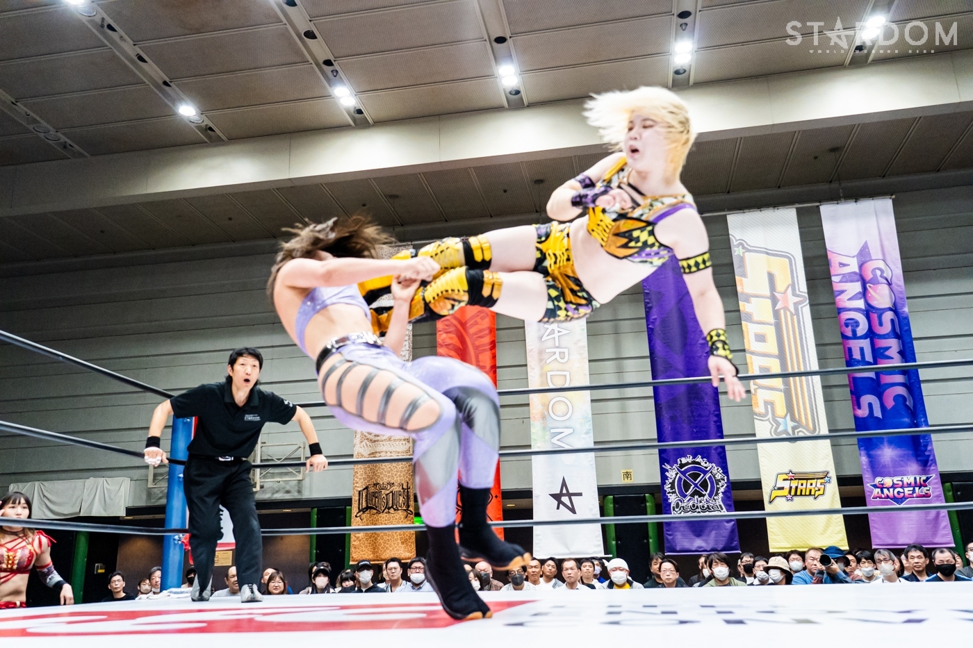 LINE_ALBUM_20240421エディオン第2①_240422_9