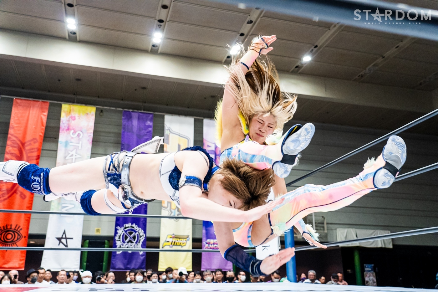 LINE_ALBUM_20240421エディオン第2①_240422_14