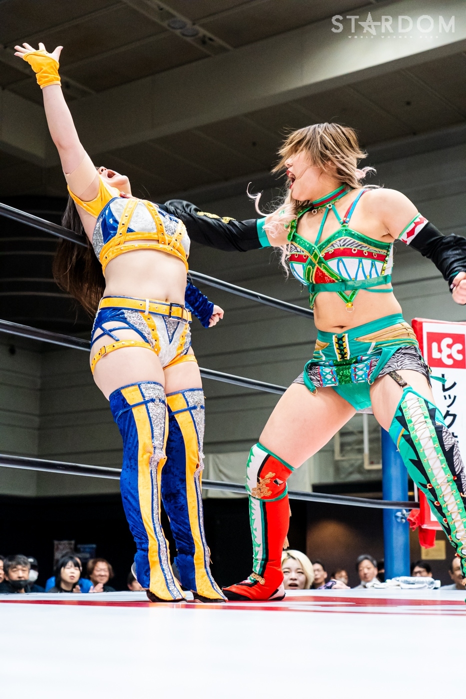 LINE_ALBUM_20240421エディオン第2①_240422_7