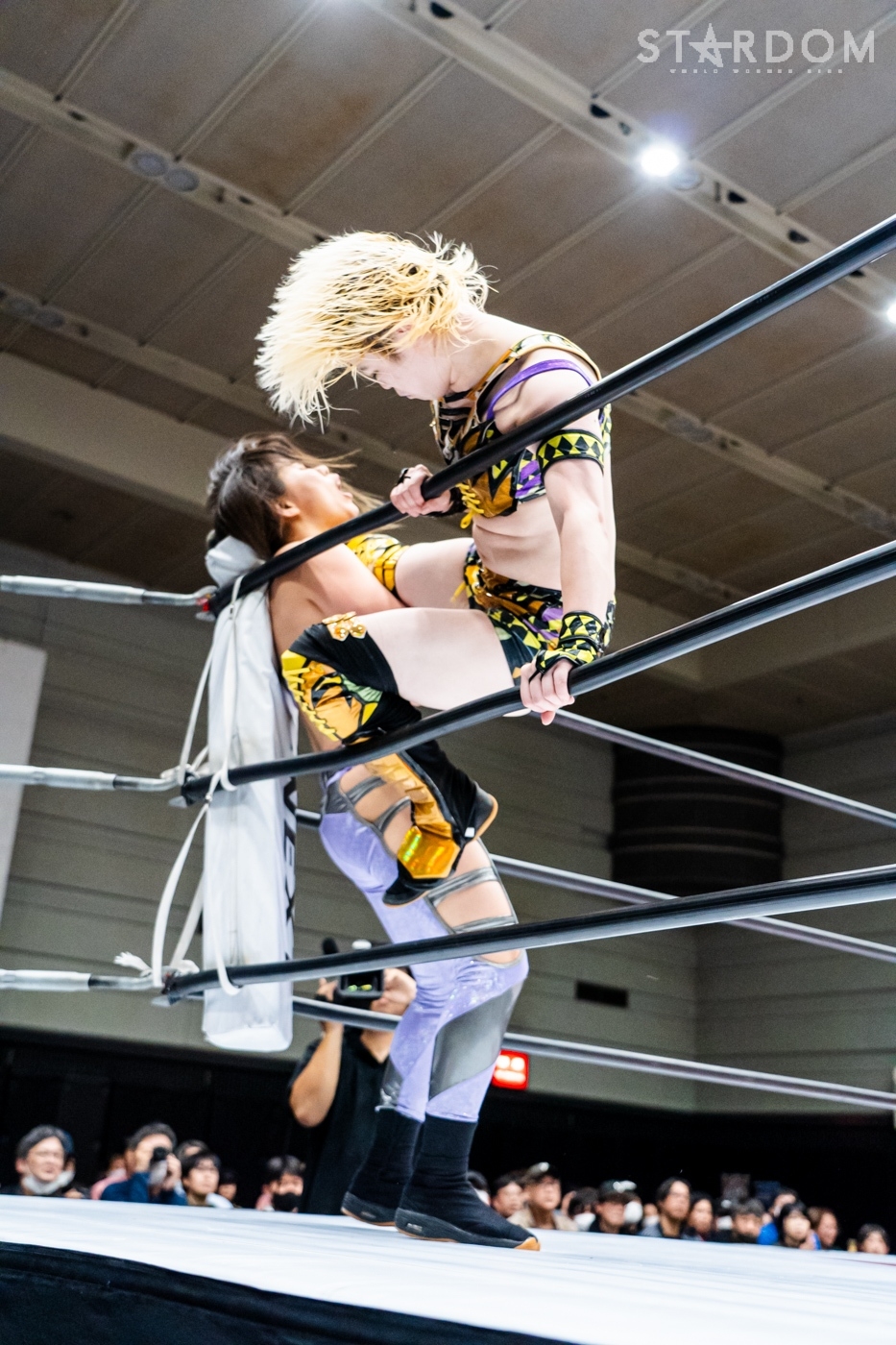 LINE_ALBUM_20240421エディオン第2①_240422_10