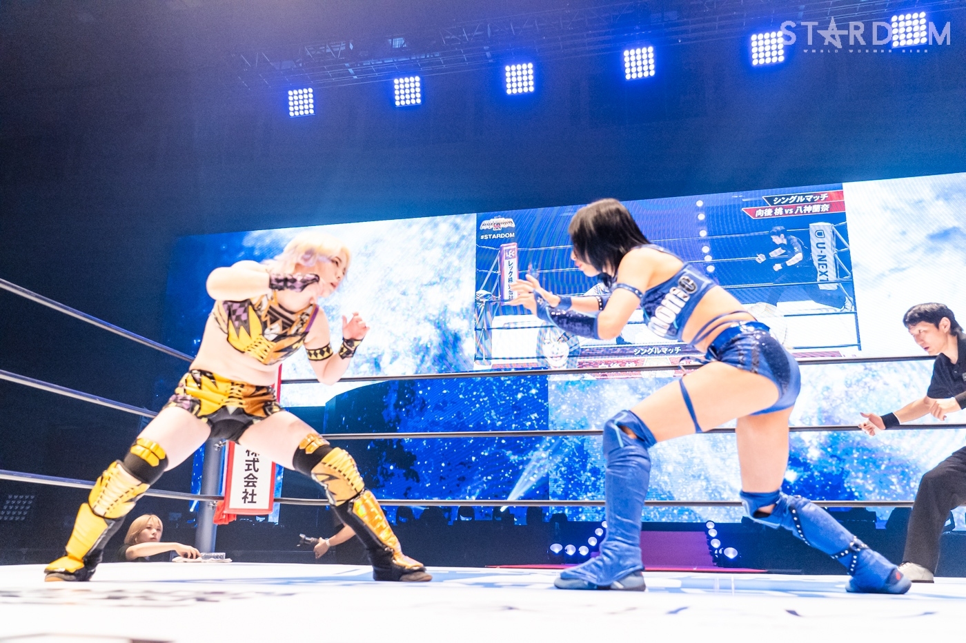 LINE_ALBUM_20240427BUNTAI①_240428_3