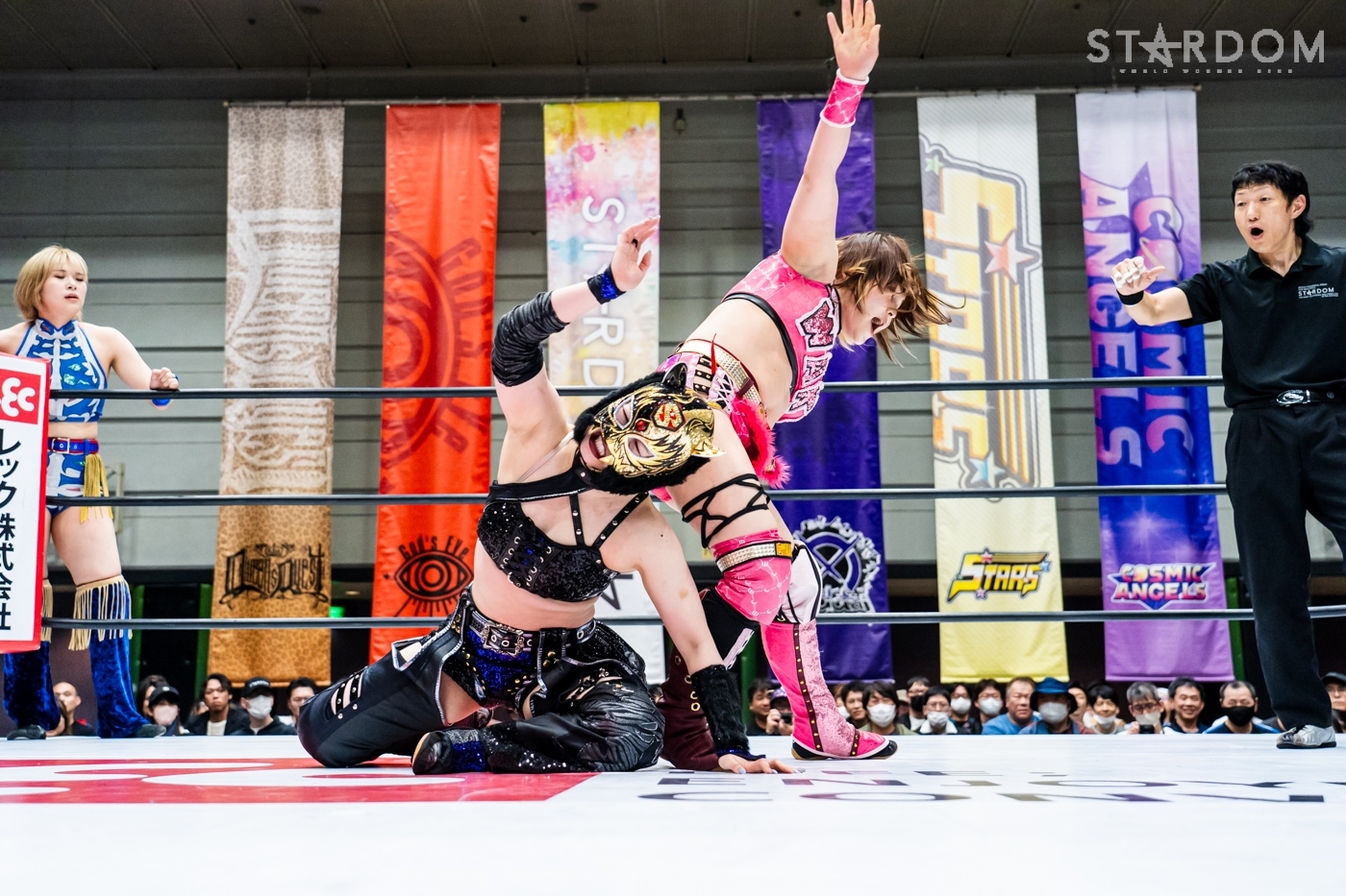 LINE_ALBUM_20240421エディオン第2①_240422_8