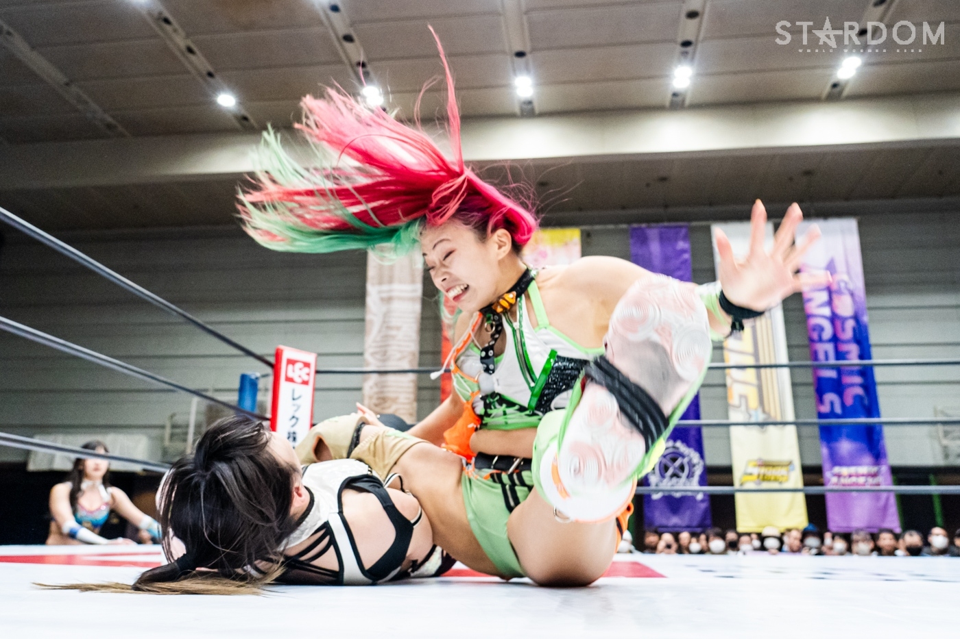 LINE_ALBUM_20240421エディオン第2①_240422_8