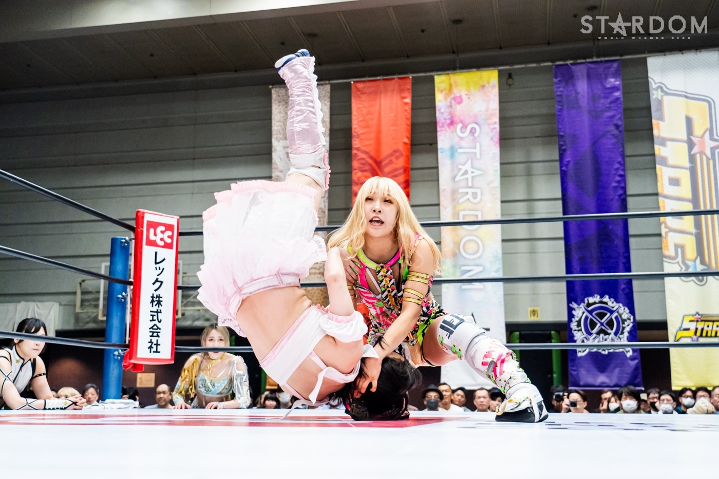 LINE_ALBUM_20240421エディオン第2①_240422_5