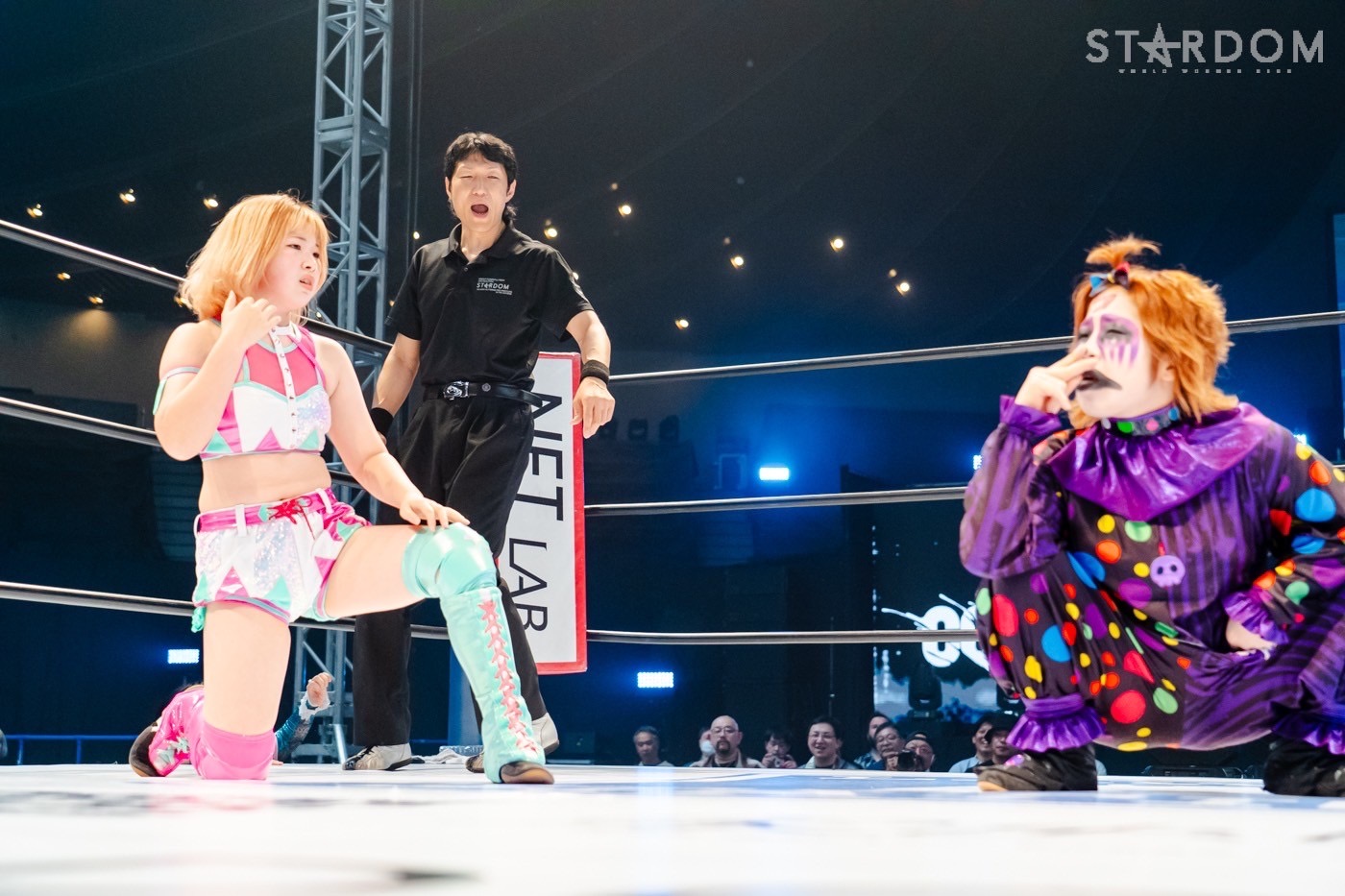 スターダム / Bikiniing2 Amazon.co.jp: スターダム STARDOM Bikiniing Winter 写真集