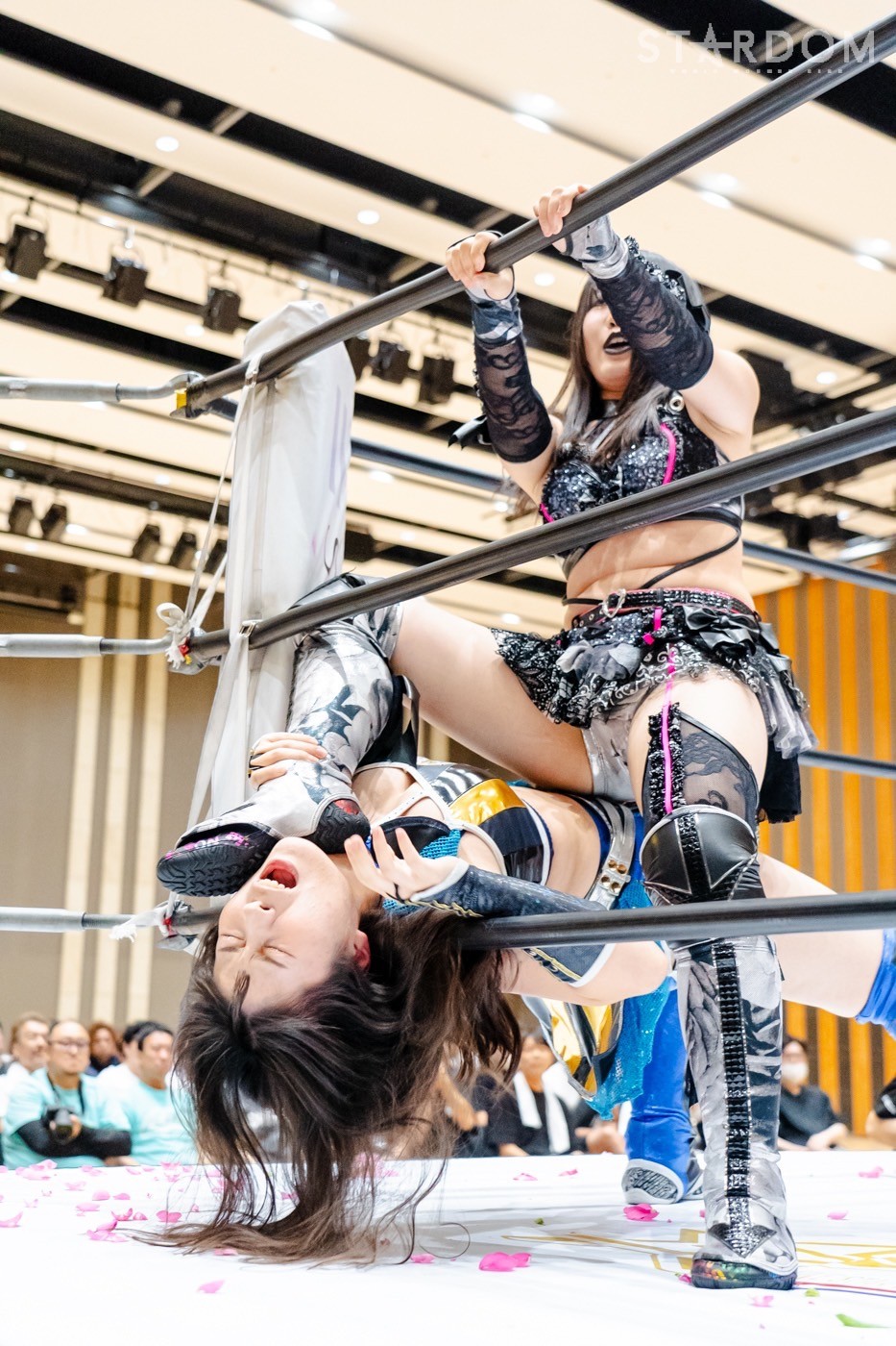 LINE_ALBUM_20240813宇都宮夜_240813_33