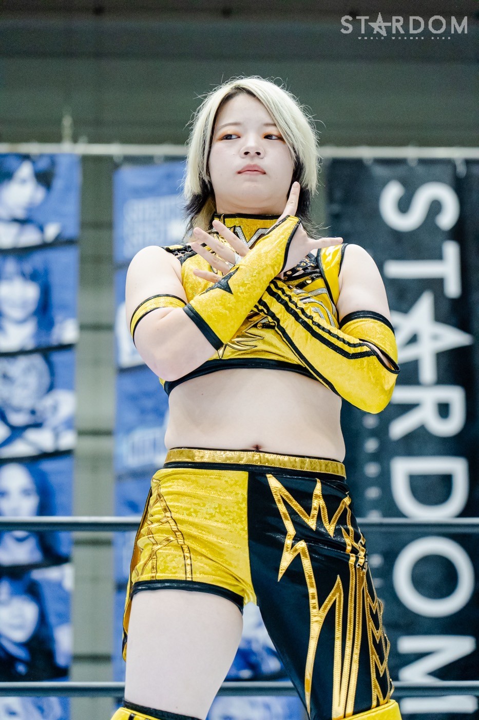 LINE_ALBUM_20240820エディオン第二_240820_62