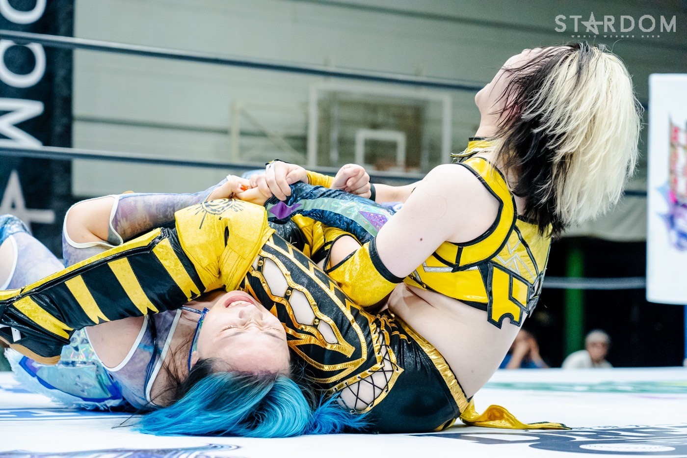 LINE_ALBUM_20240820エディオン第二_240820_54