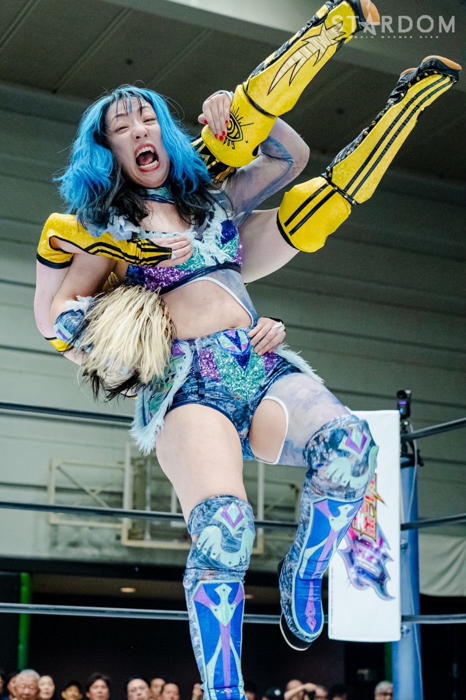 LINE_ALBUM_20240820エディオン第二_240820_51