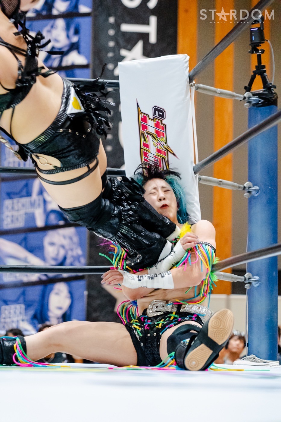 LINE_ALBUM_20240813宇都宮夜_240813_44