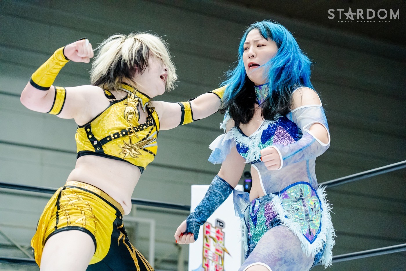 LINE_ALBUM_20240820エディオン第二_240820_56