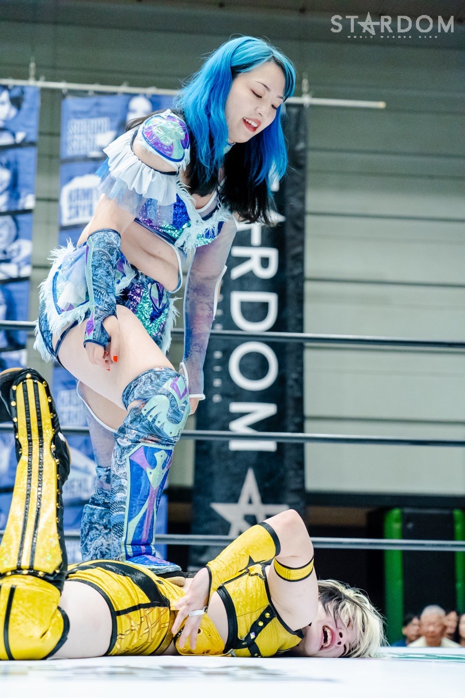 LINE_ALBUM_20240820エディオン第二_240820_57