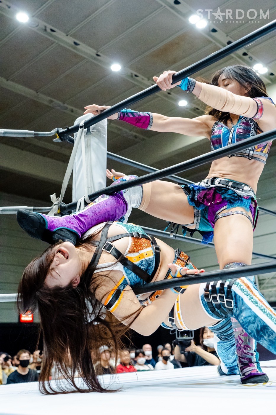 LINE_ALBUM_20240820エディオン第二_240820_45