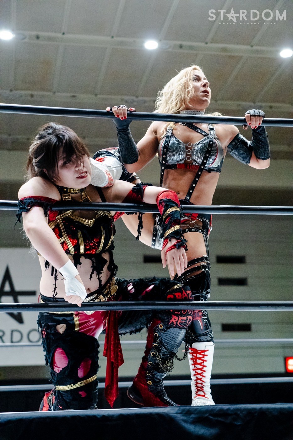 LINE_ALBUM_20240820エディオン第二_240820_23