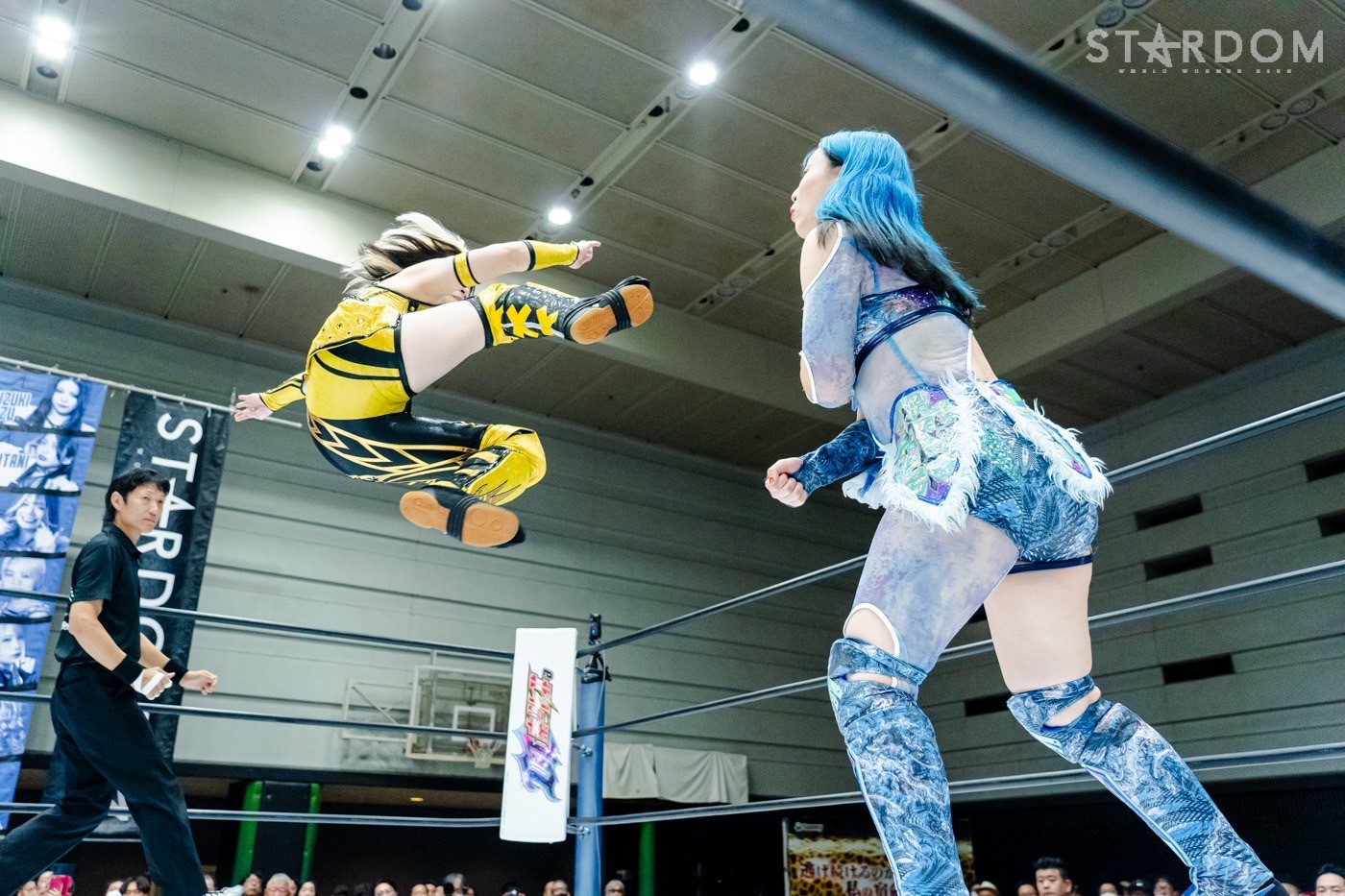 LINE_ALBUM_20240820エディオン第二_240820_61