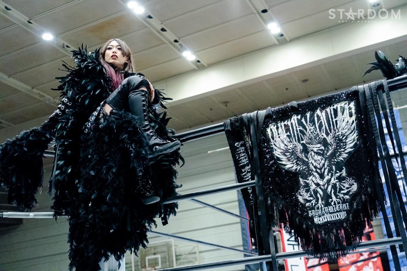 LINE_ALBUM_20240820エディオン第二_240820_37