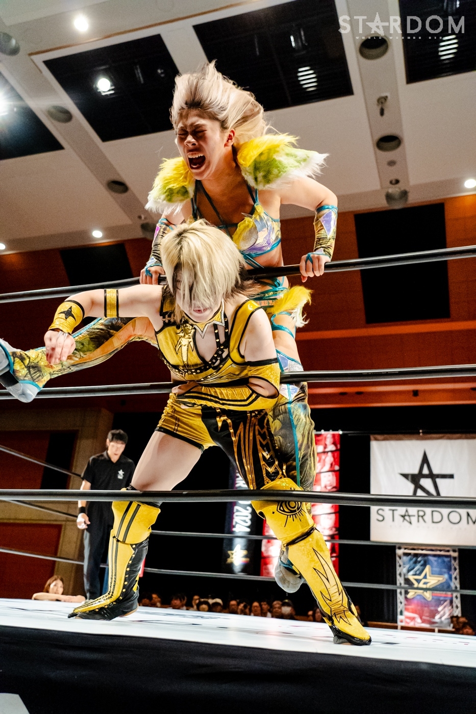 LINE_ALBUM_240824パルセいいざか_240825_6