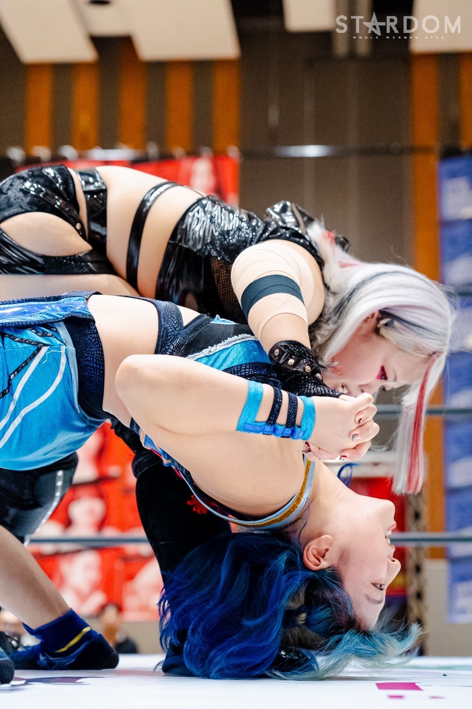 LINE_ALBUM_20240813宇都宮夜_240813_49