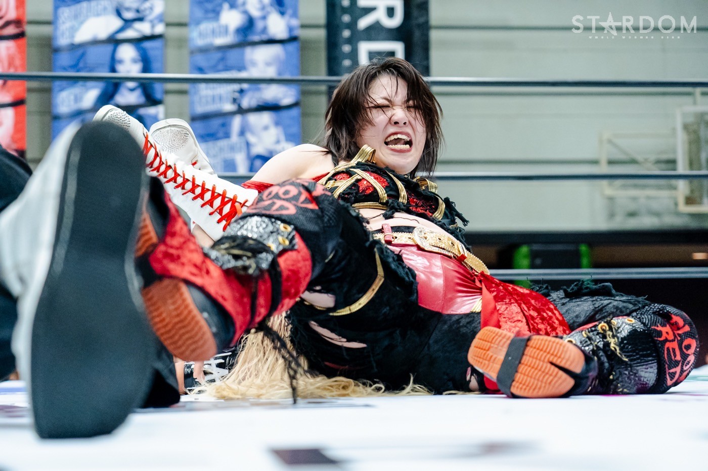 LINE_ALBUM_20240820エディオン第二_240820_16