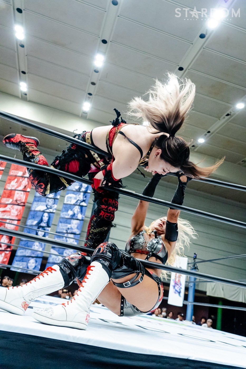 LINE_ALBUM_20240820エディオン第二_240820_26