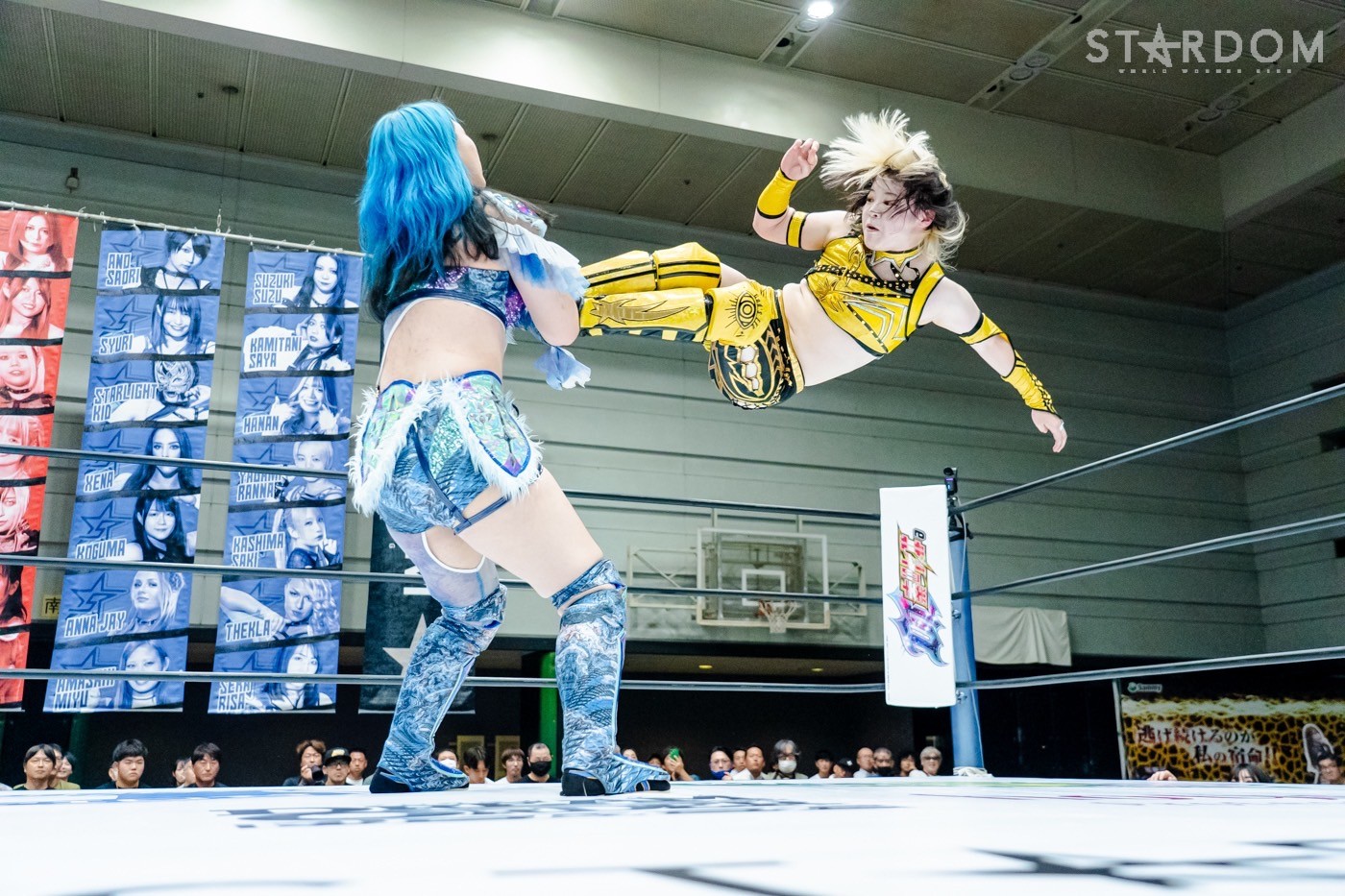 LINE_ALBUM_20240820エディオン第二_240820_55