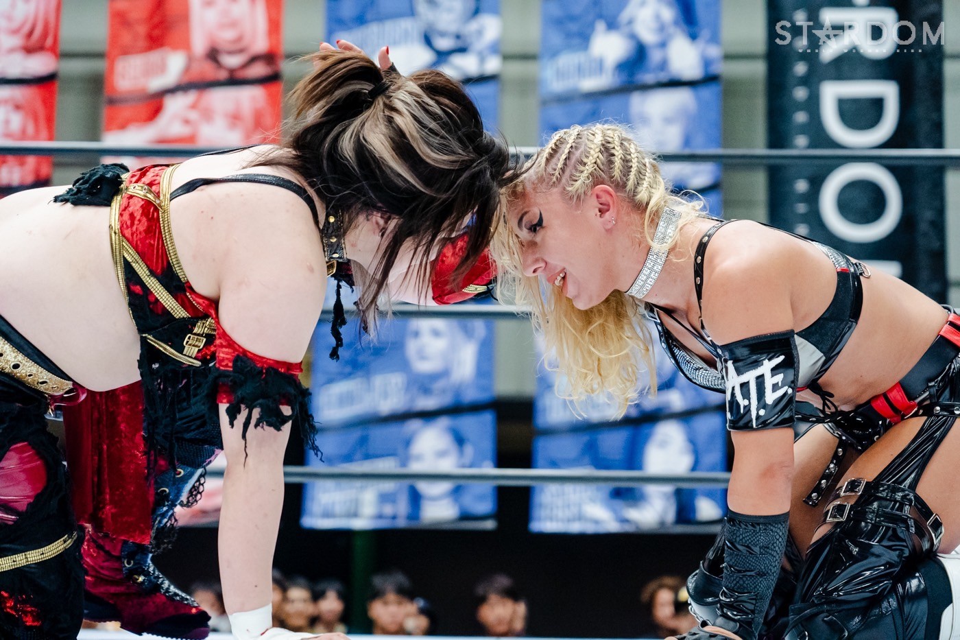 LINE_ALBUM_20240820エディオン第二_240820_19