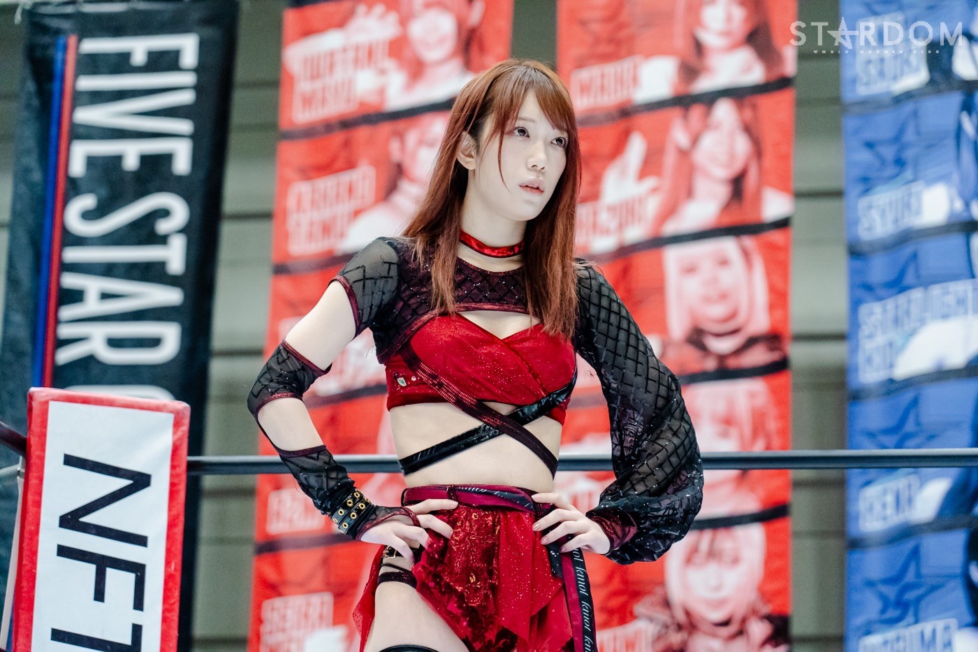 LINE_ALBUM_20240820エディオン第二_240820_36