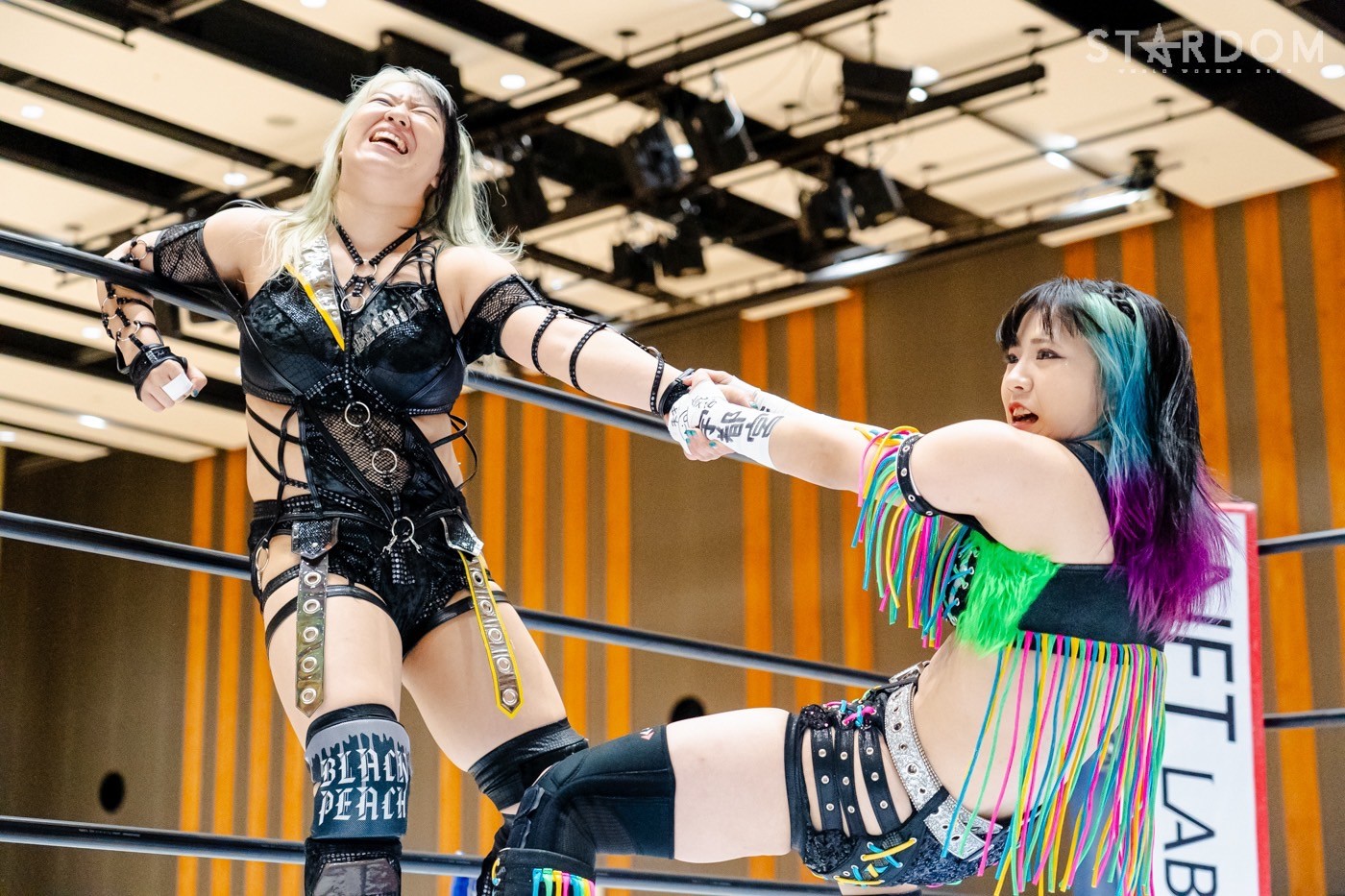 LINE_ALBUM_20240813宇都宮夜_240813_41