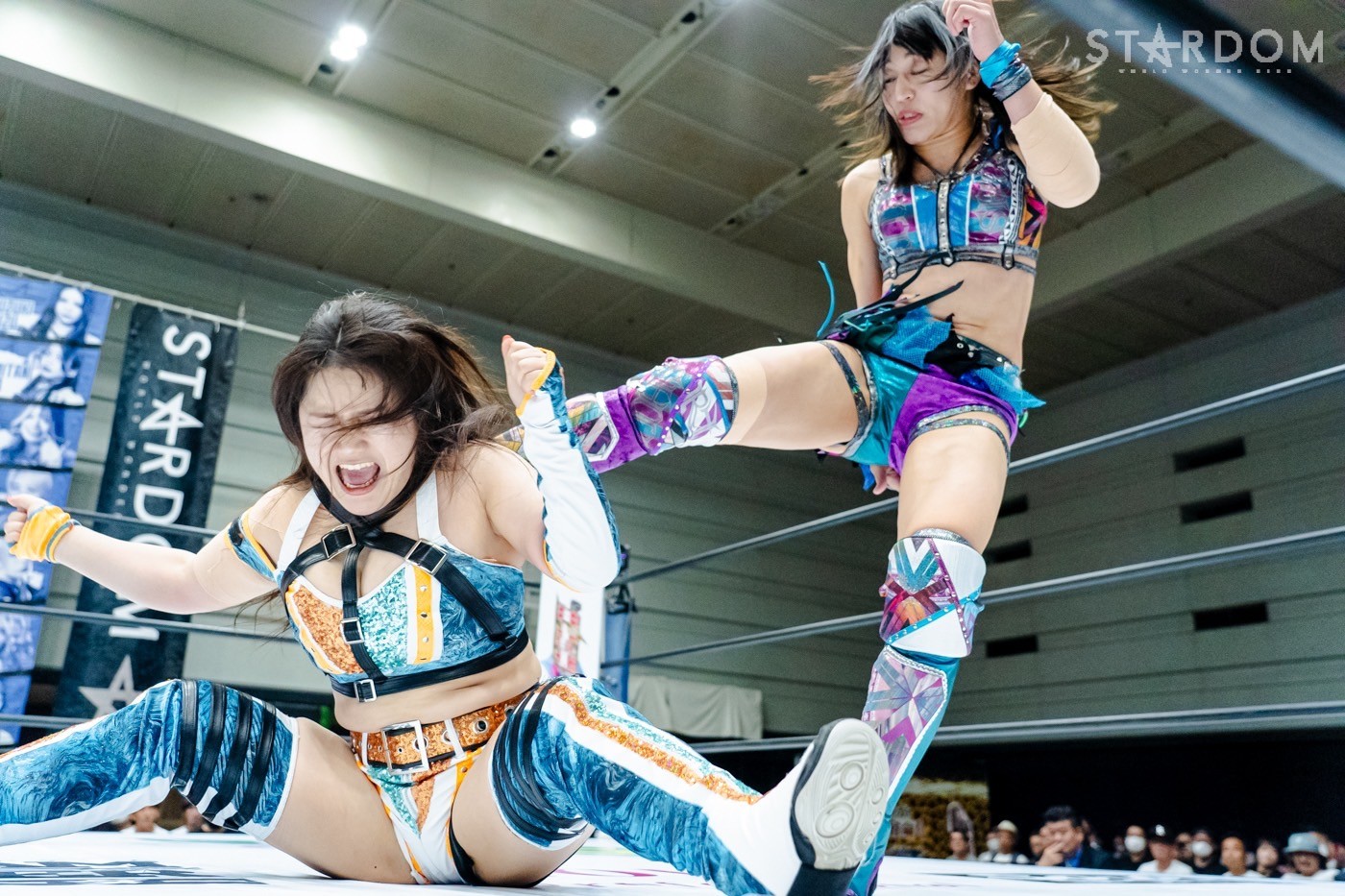 LINE_ALBUM_20240820エディオン第二_240820_43