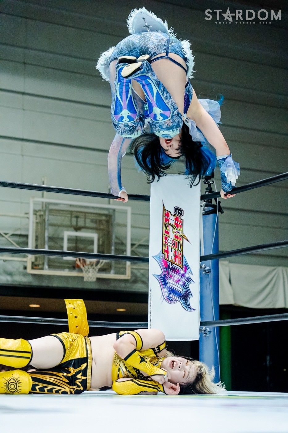 LINE_ALBUM_20240820エディオン第二_240820_53