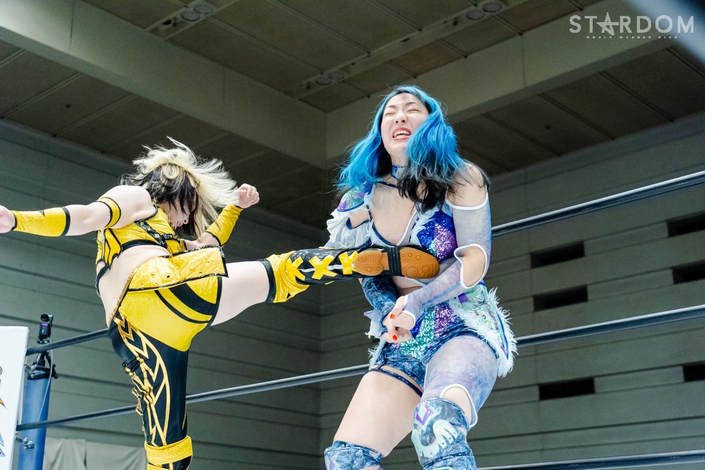 LINE_ALBUM_20240820エディオン第二_240820_60