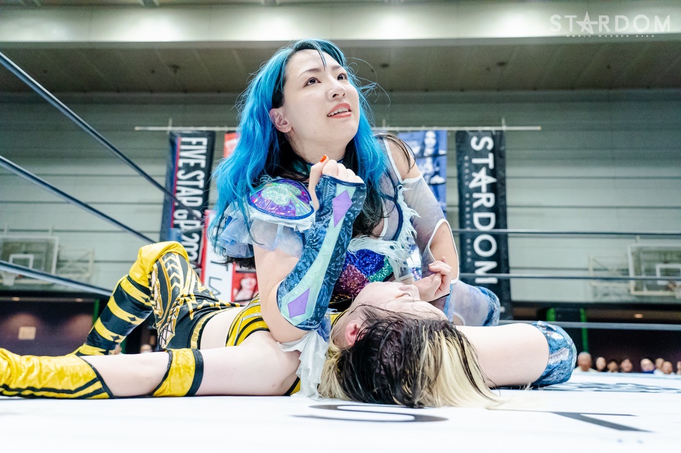 LINE_ALBUM_20240820エディオン第二_240820_52