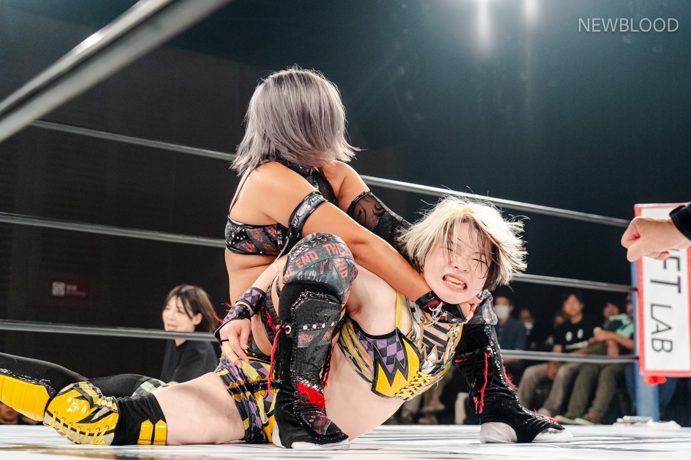 LINE_ALBUM_20240913NEWBLOOD中日ホール_240913_27