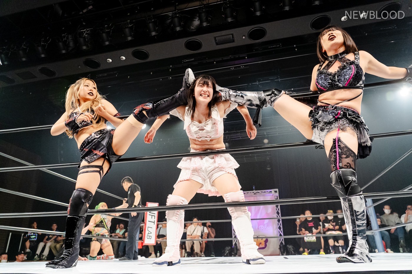 LINE_ALBUM_20240913NEWBLOOD中日ホール_240913_80