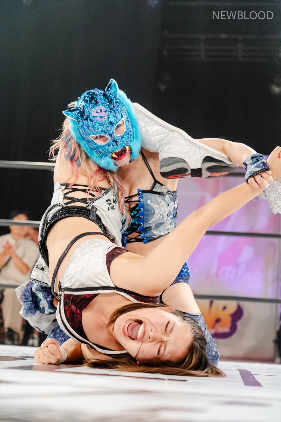 LINE_ALBUM_20240913NEWBLOOD中日ホール_240913_68