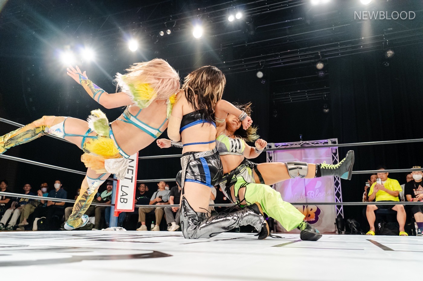 LINE_ALBUM_20240913NEWBLOOD中日ホール_240913_53