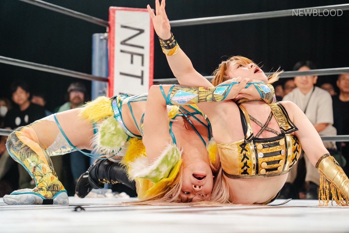 LINE_ALBUM_20240913NEWBLOOD中日ホール_240913_49