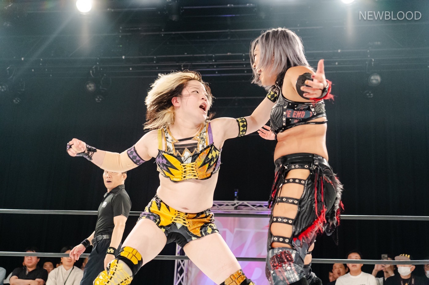 LINE_ALBUM_20240913NEWBLOOD中日ホール_240913_28