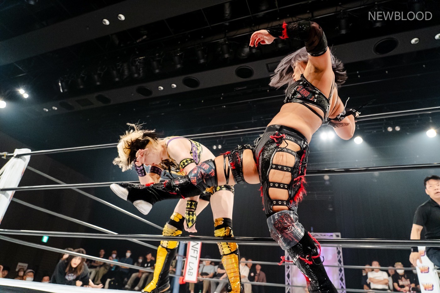 LINE_ALBUM_20240913NEWBLOOD中日ホール_240913_26