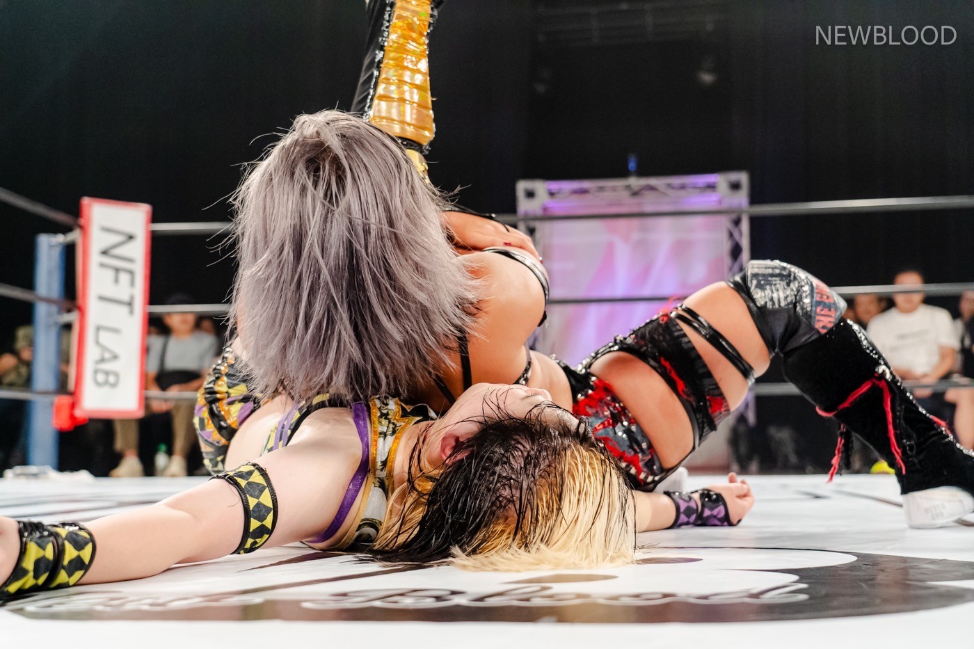 LINE_ALBUM_20240913NEWBLOOD中日ホール_240913_35