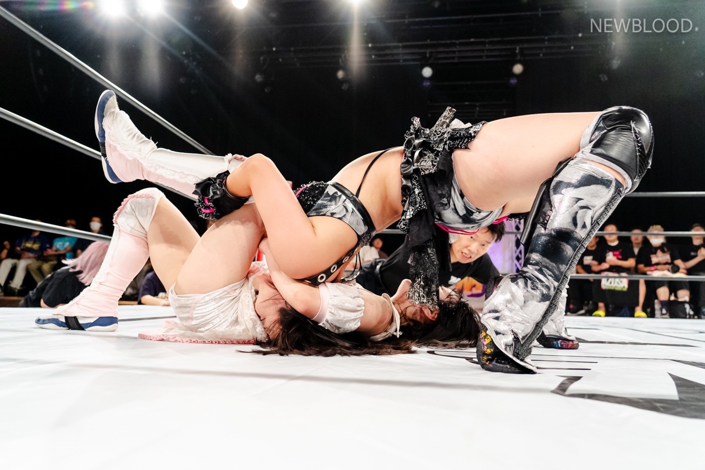 LINE_ALBUM_20240913NEWBLOOD中日ホール_240913_90